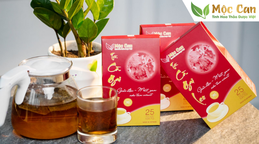 Giải mã các thảo dược tốt cho gan ít người biết 5 Giải mã các thảo dược tốt cho gan ít người biết 5